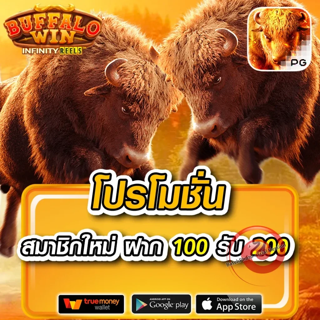 g2g-889 สมัครง่าย